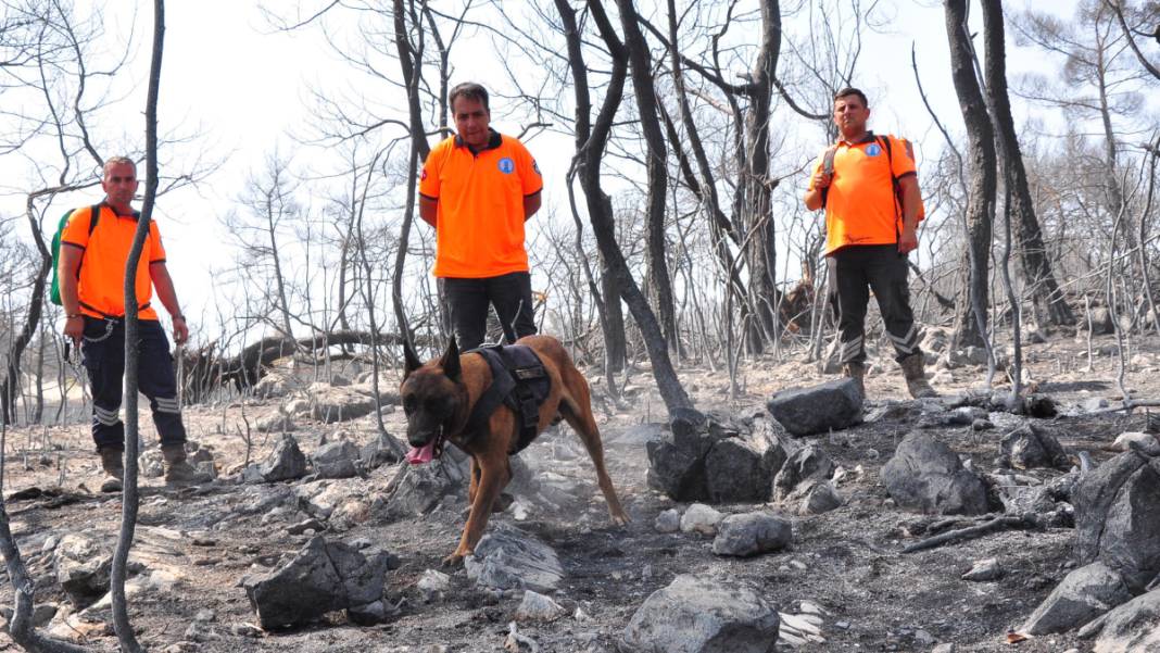 Kabus 23 saat sürmüştü: Sabotaj şüphesini 'Tarzan' çözecek 12